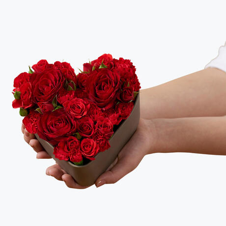 Ekstrabilde_242664[1]