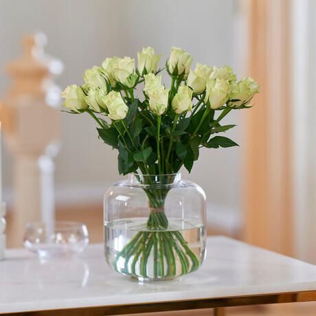 Ekstrabilde_242620[1]