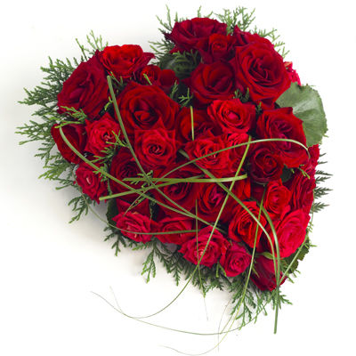 rodt&nbsp;rosehjerte